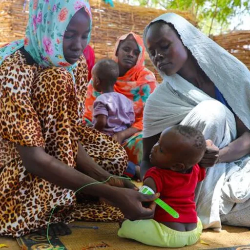 Crisi dei rifugiati in Chad: i servizi di ostetricia sopraffatti dall’ondata sudanese
