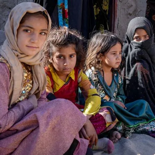 Notizie mondiali in breve: Diritti umani in Mongolia, aumento della violenza sessuale ad Haiti, aggravamento della fame in Afghanistan